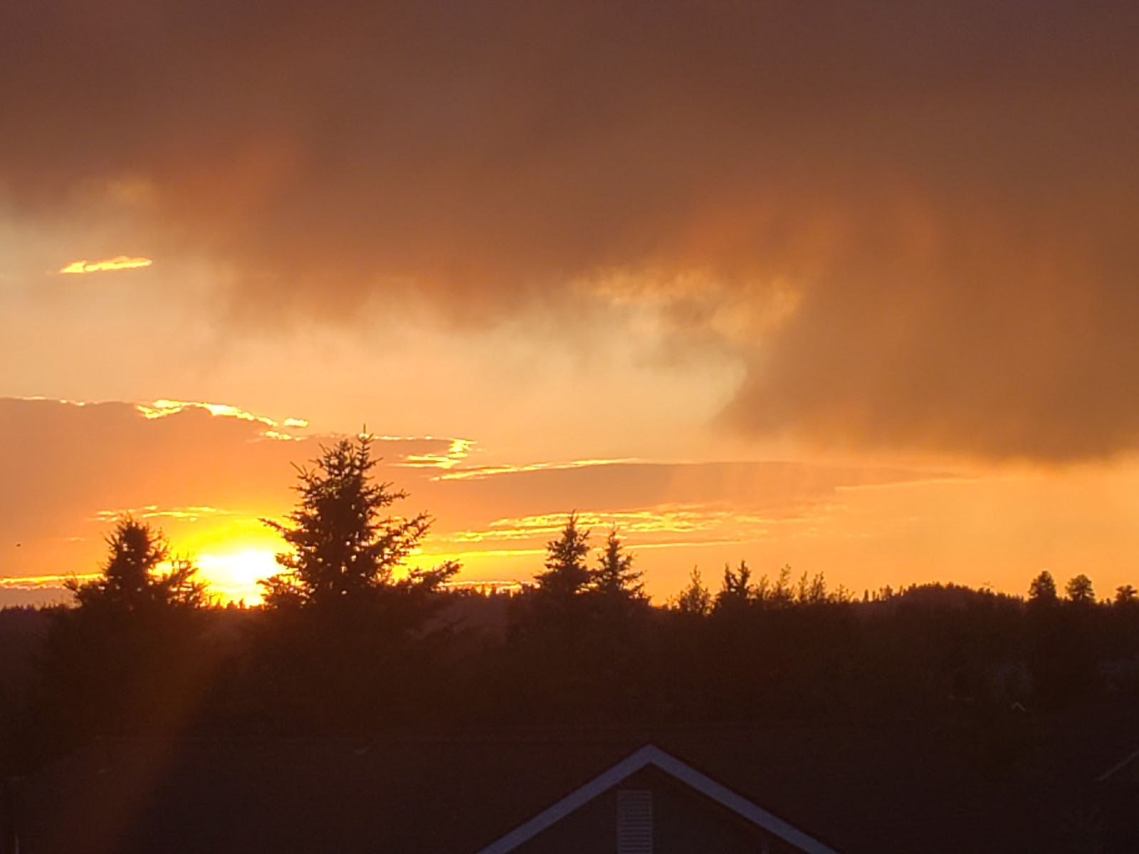 Black Bear RV Park (formerly McCall Campground & RV Park)