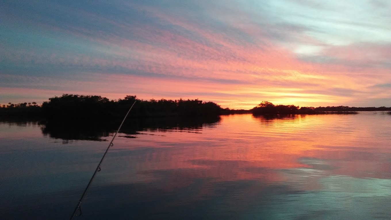 Chief Aripeka Travel Park