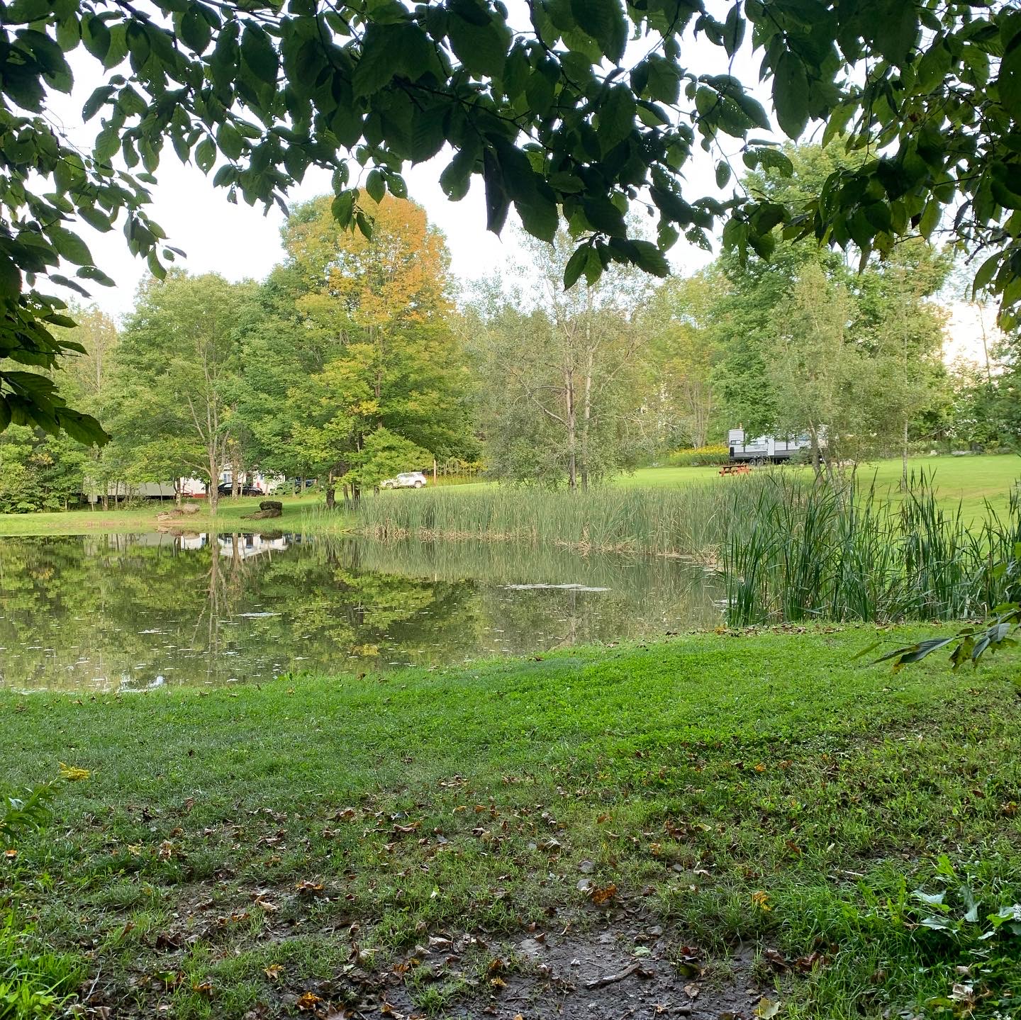 Valley View Farm and Campground