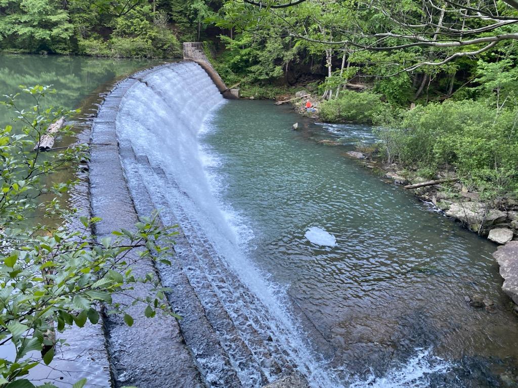 Brushy Lake NF Campground