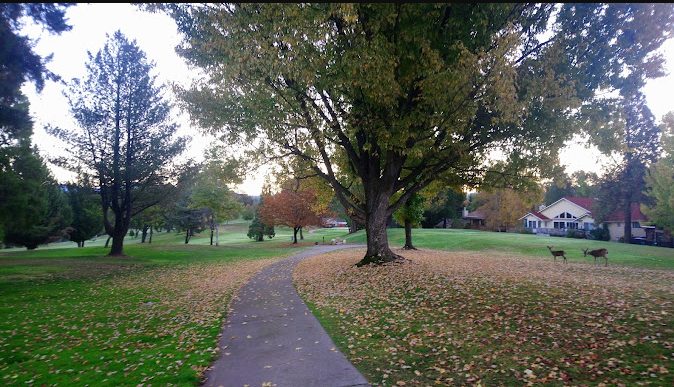 Pine Mountain Lake Country Club