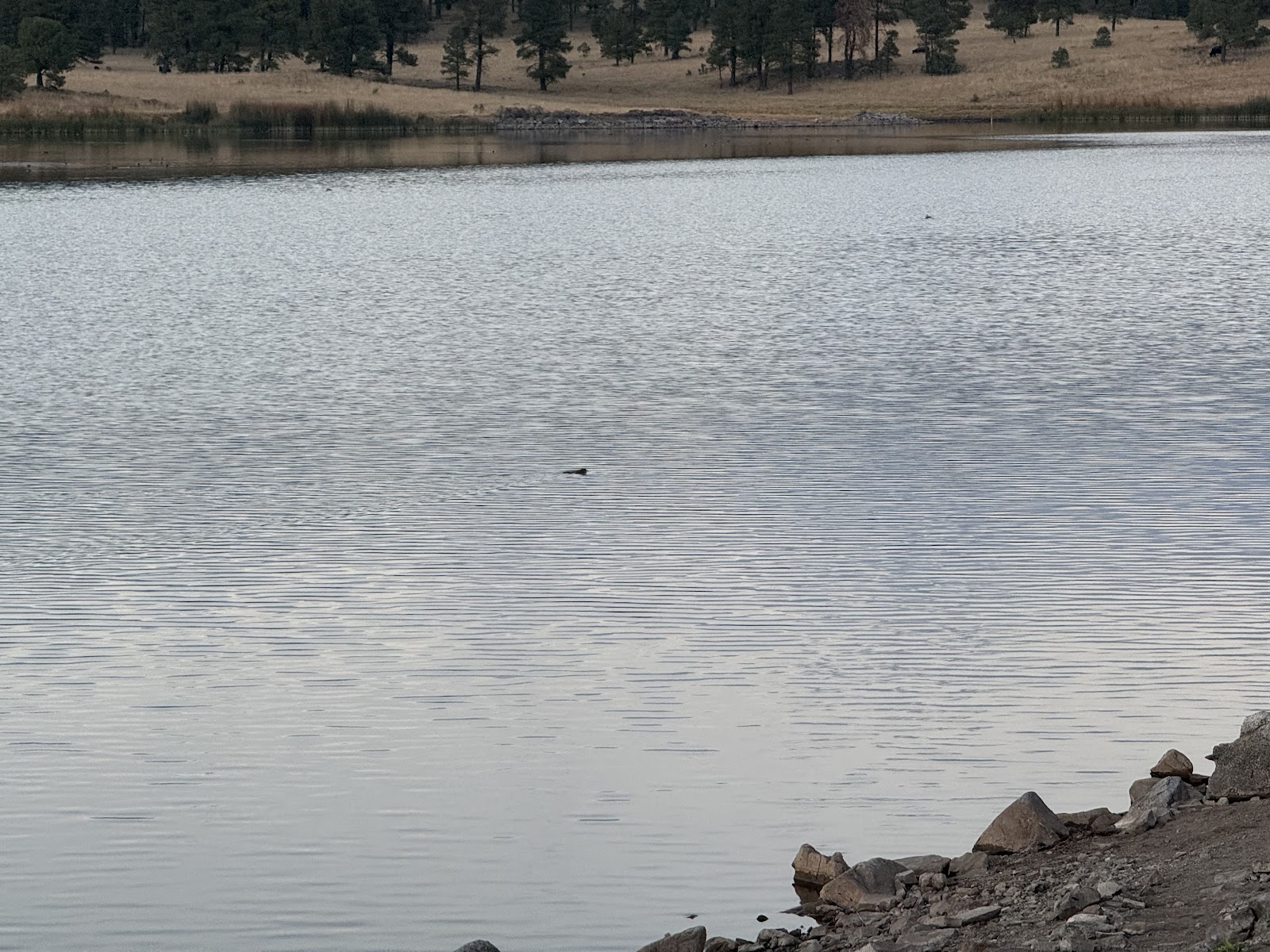 Luna Lake Campground