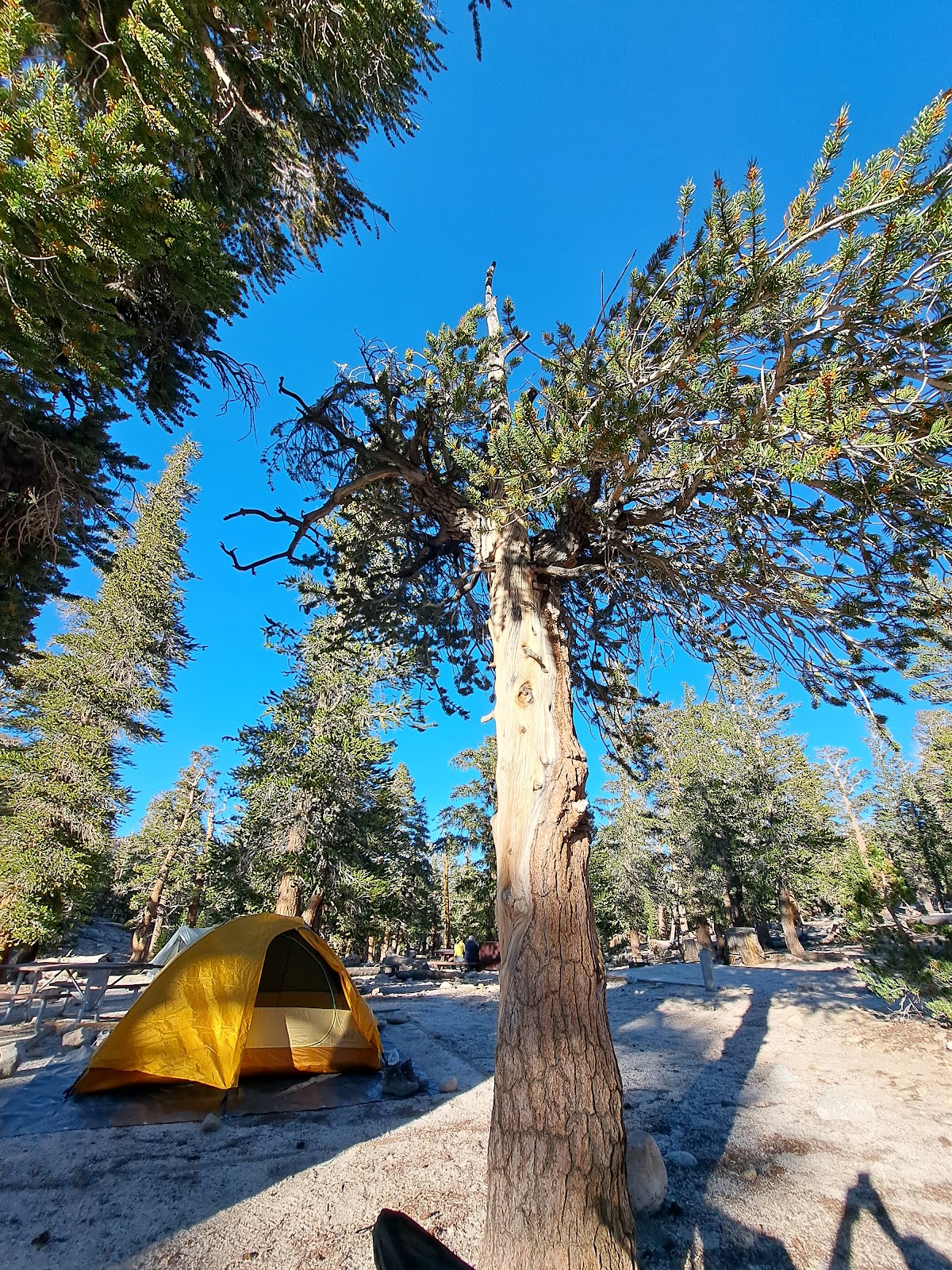Cottonwood Lakes Backpacker Campground