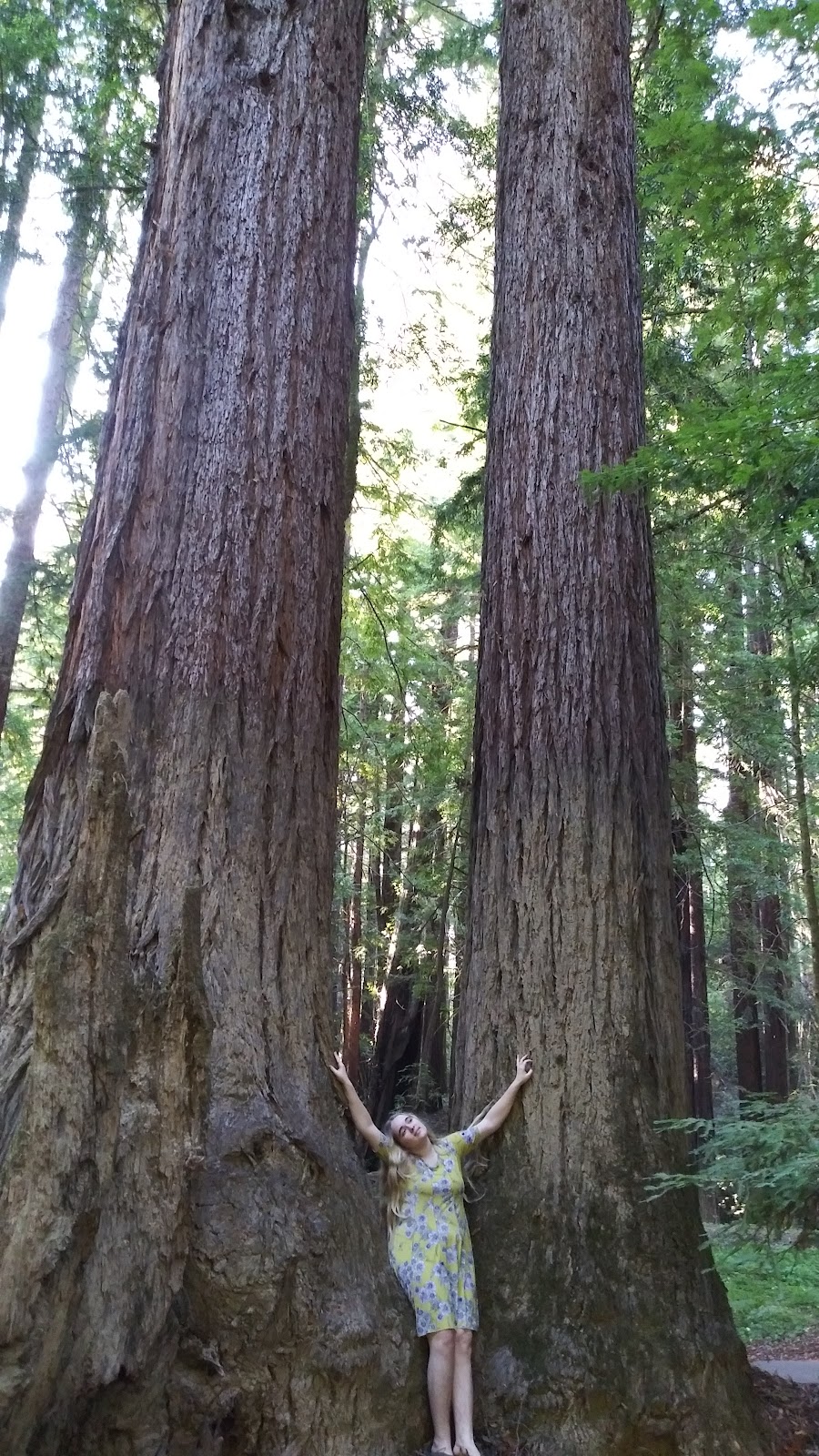 Paul M. Dimmick Campground