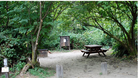 Russian Gulch State Park