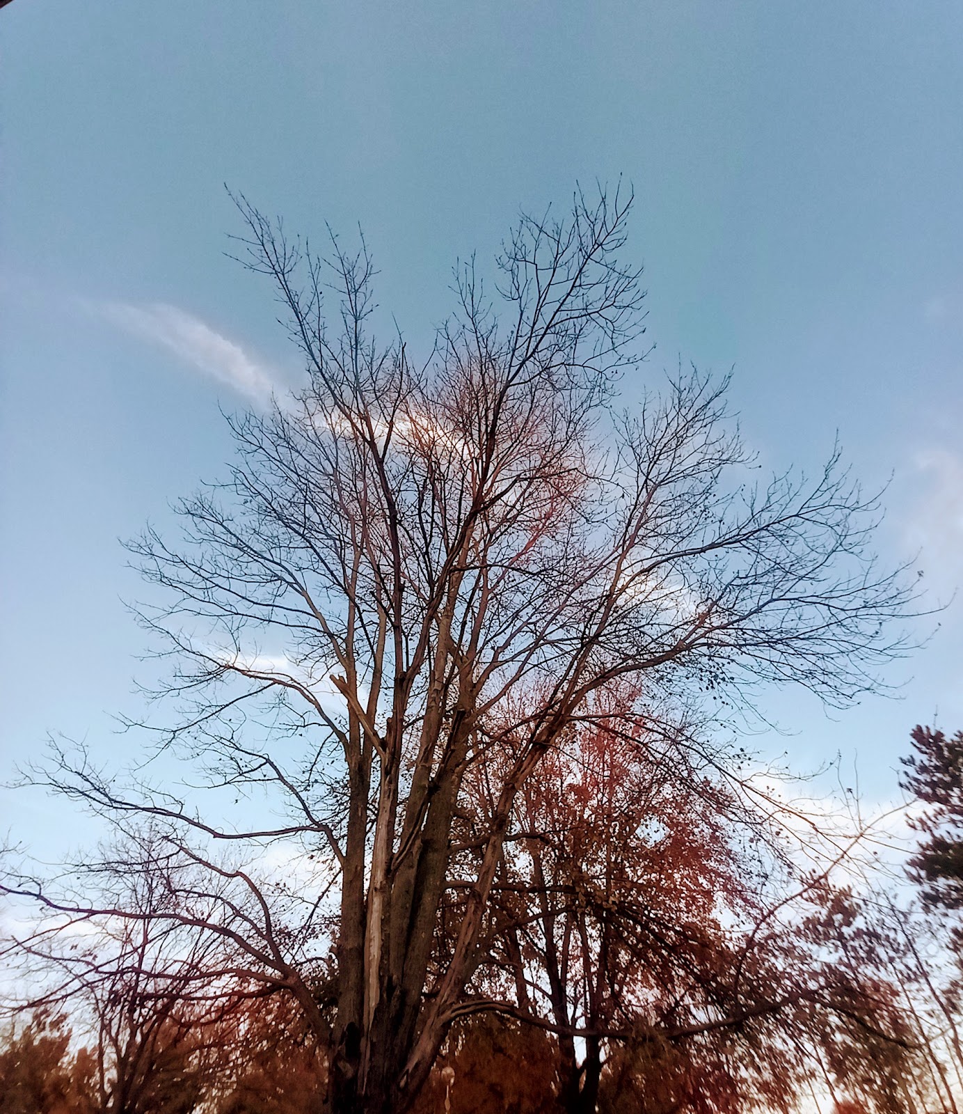 Green Meadows Campground