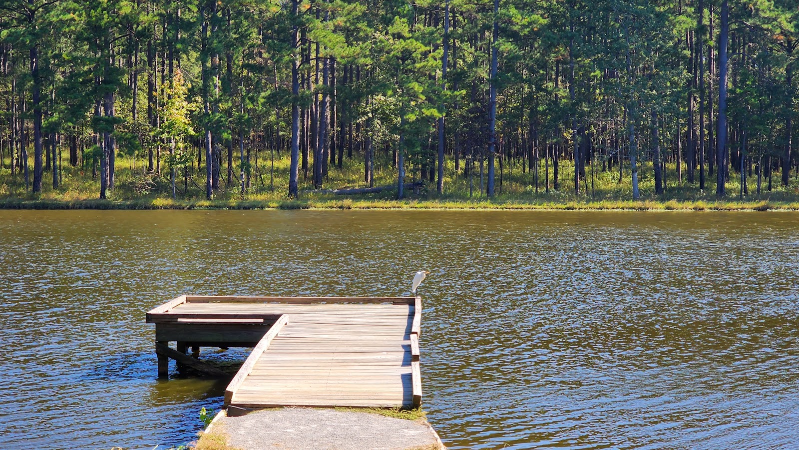 Marathon Lake Rec Area NF Campground