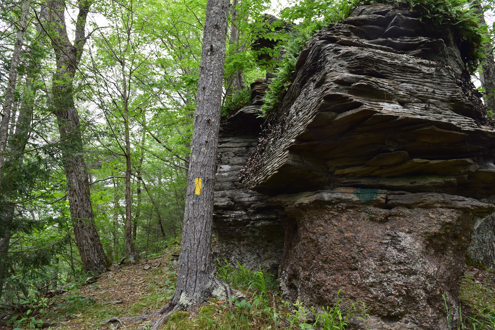 Little Pine State Park