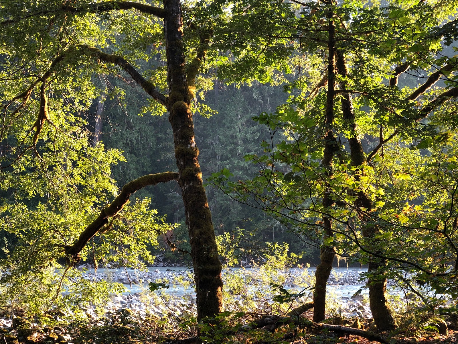 Marten Creek Group Campground