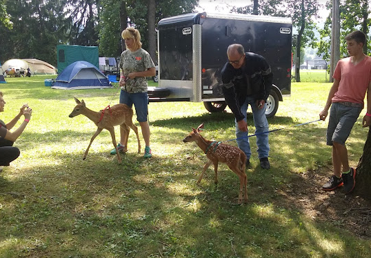 Redbank Valley Municipal Park