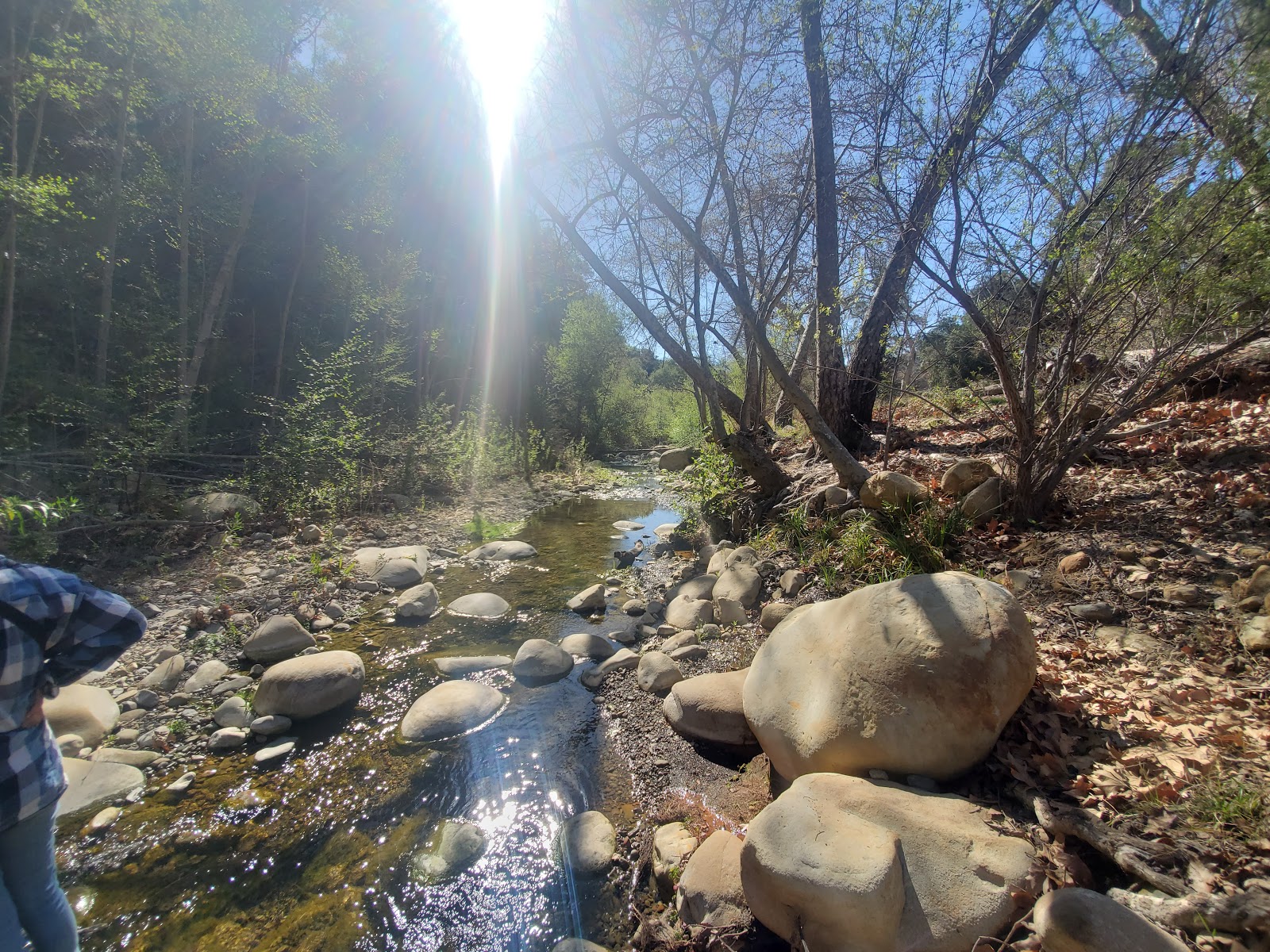 Camp Comfort County Park