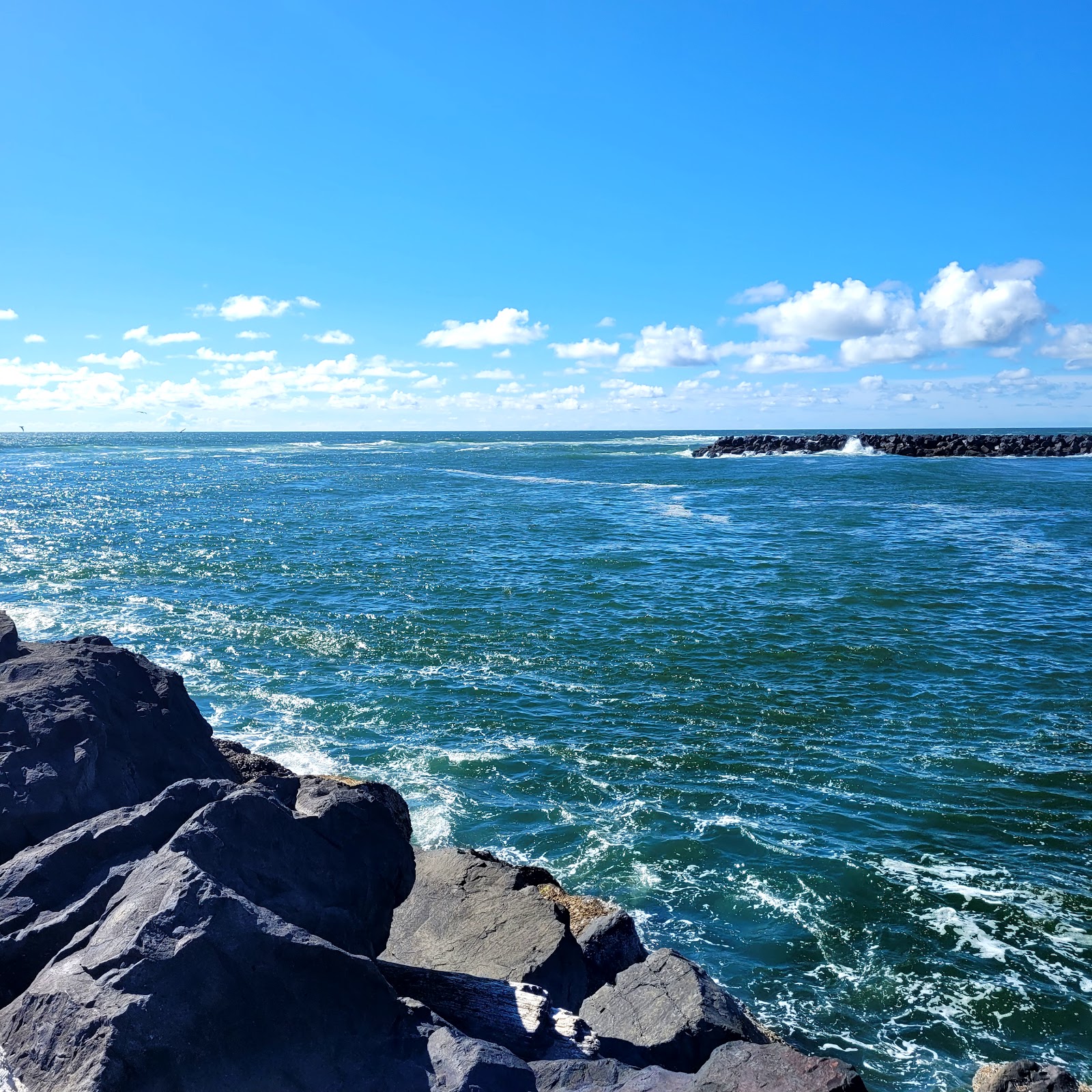 Jetty Fishery Marina & RV Park