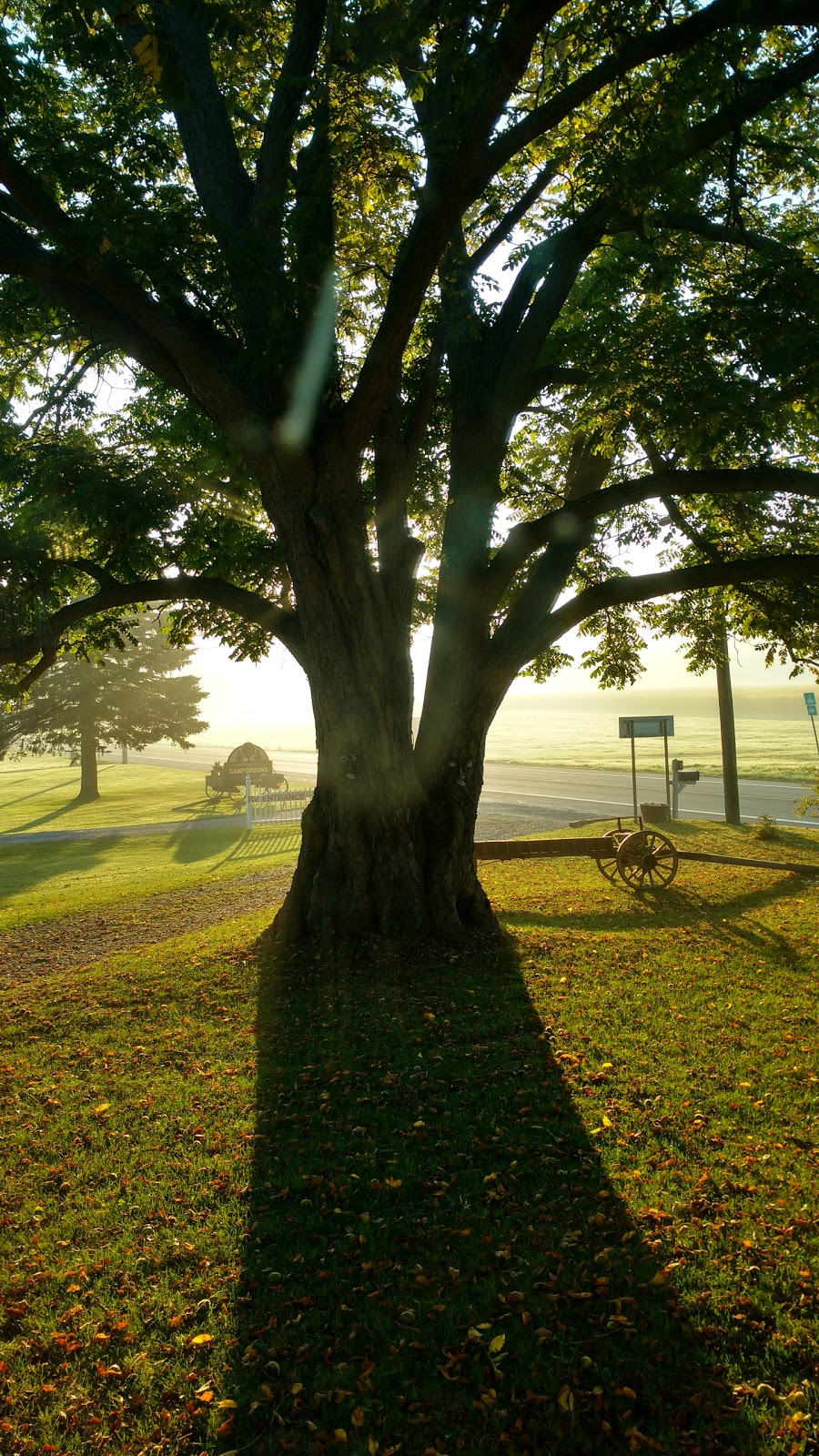 Butternut Hill RV Camping