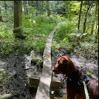 Clarksburg State Park