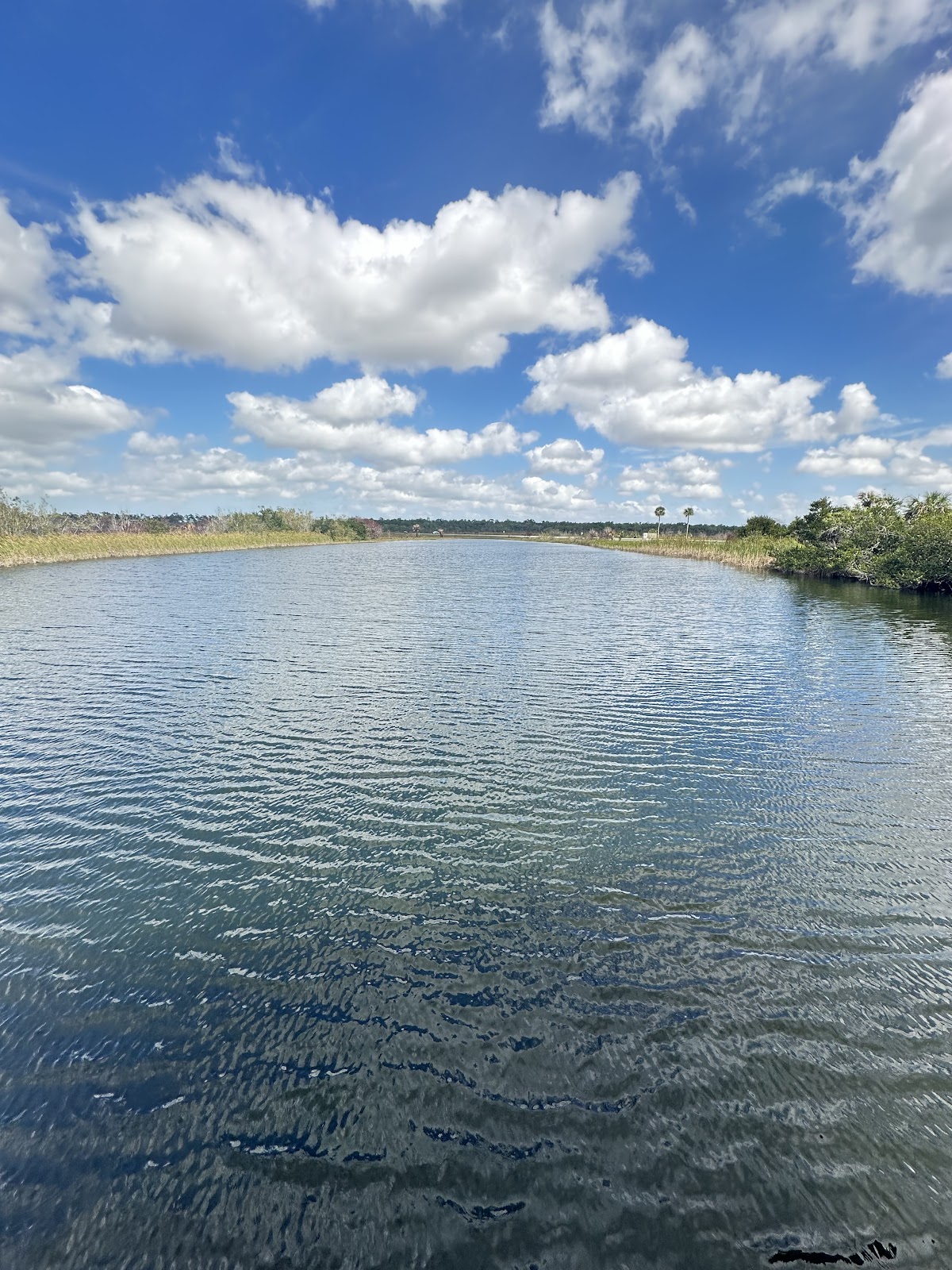 Backcountry Ernest Coe - Everglades National Park