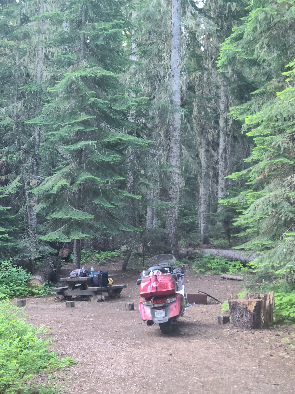 Gold Lake Campground