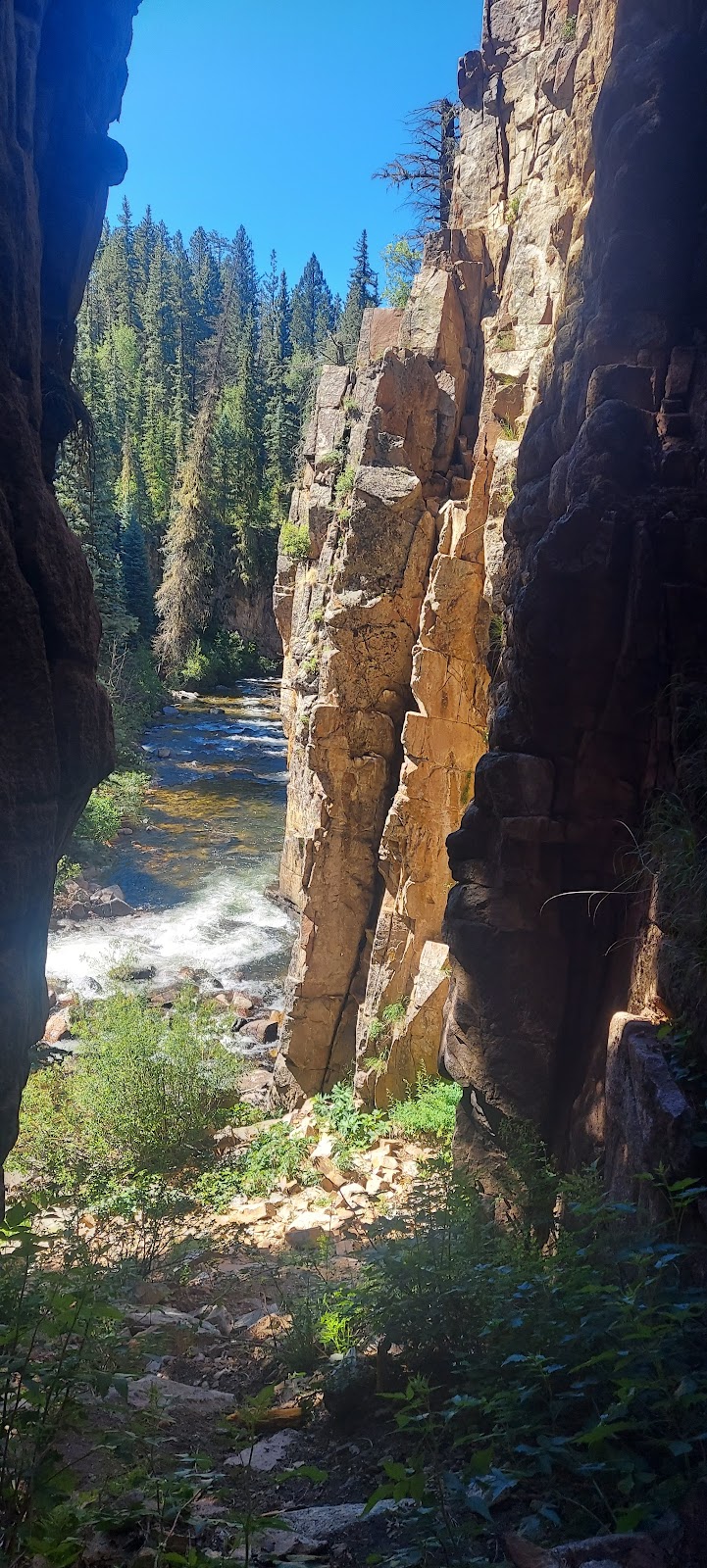 Transfer Park Campground