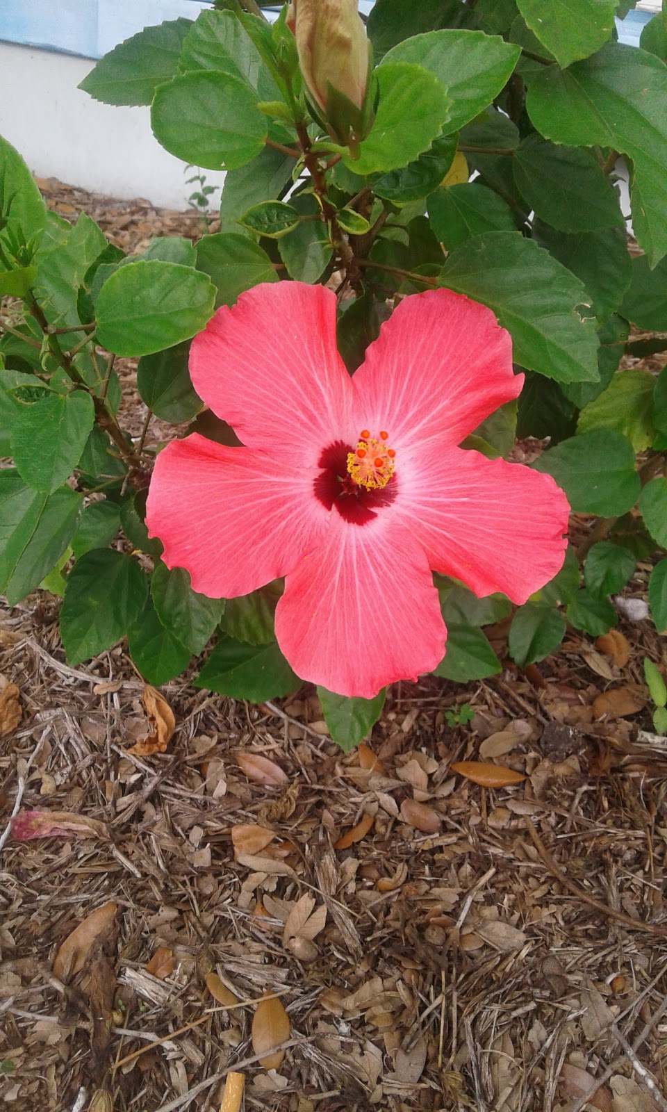 Bullock’s Landing RV Park