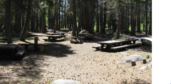 Big Meadow - Us Forest Service Stanislaus National Forest (CA)