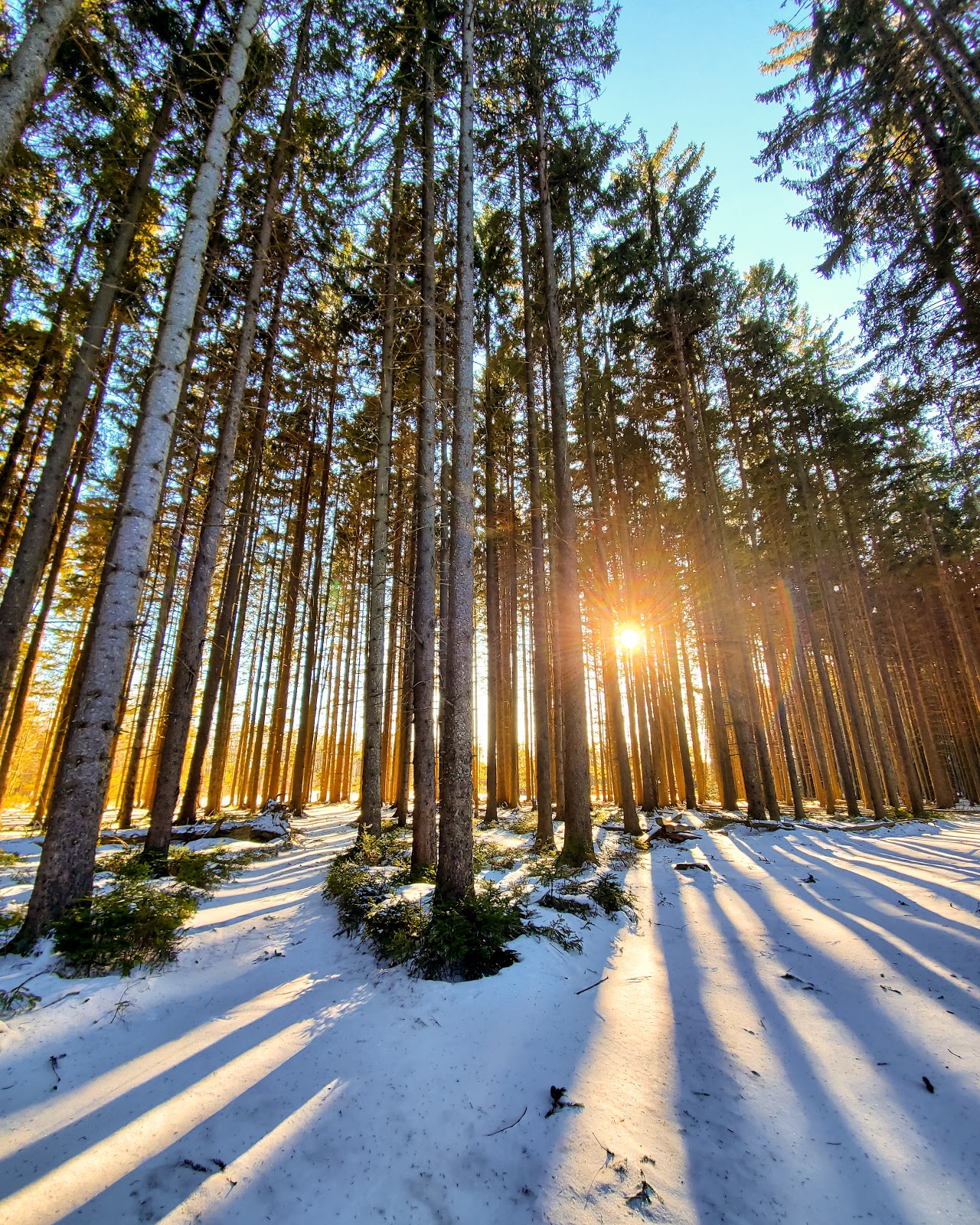 Holiday Valley Resort