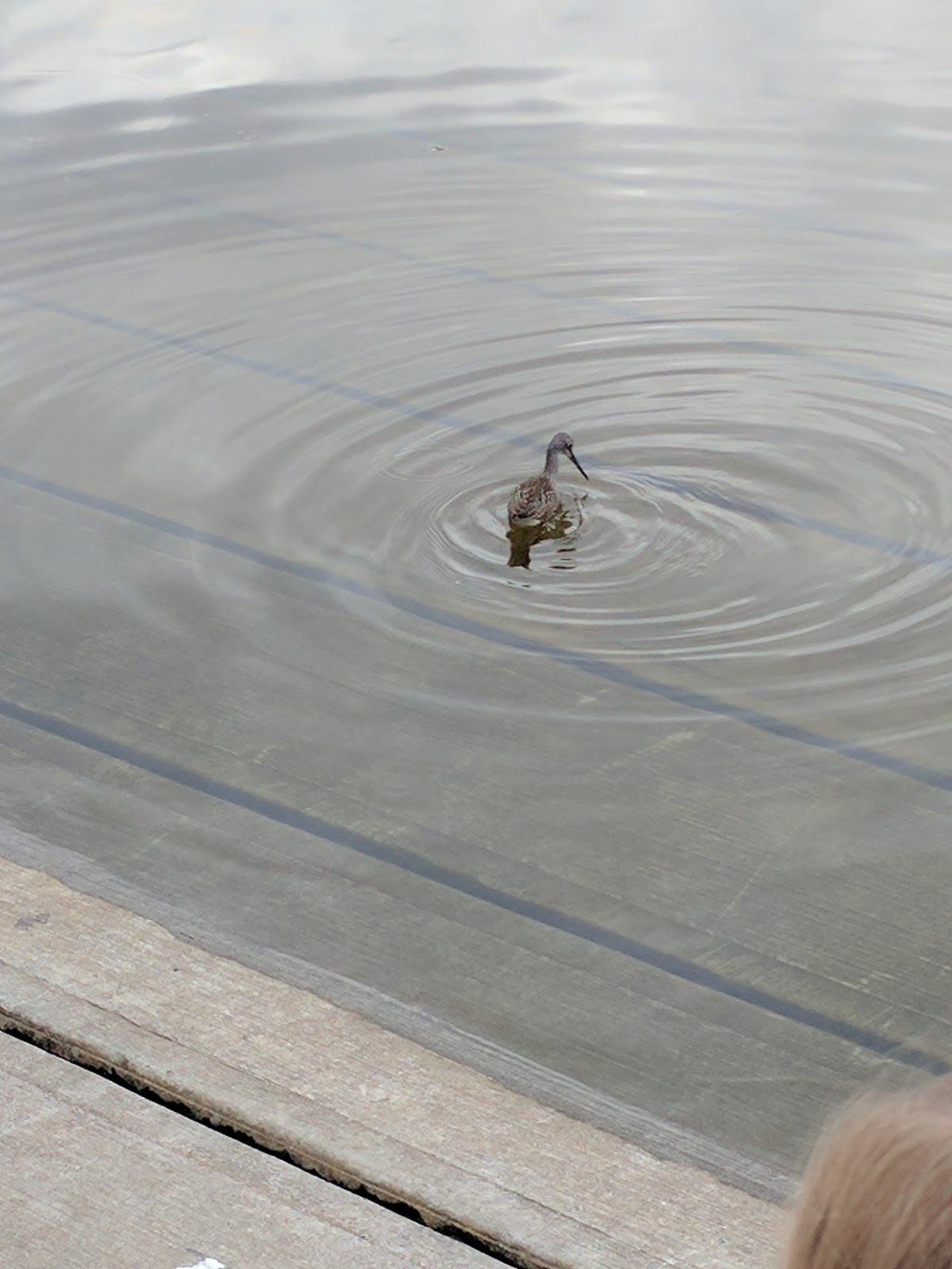 Izaak Walton State Recreation Site