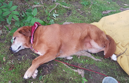 Bonnie Brae Campground