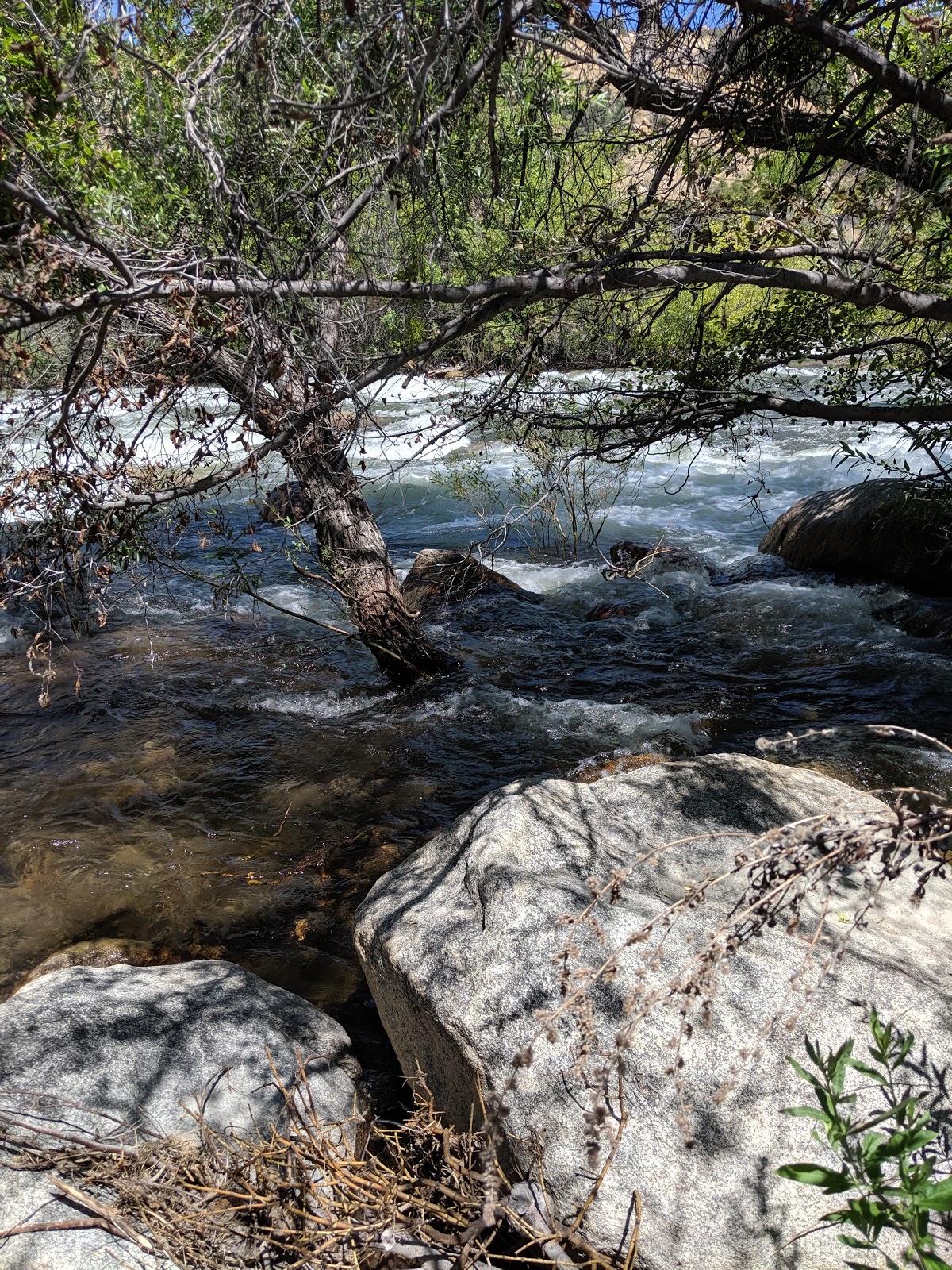 Hospital Flat Campground