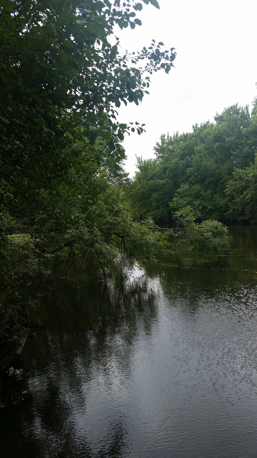 Wapiti Park Campgrounds