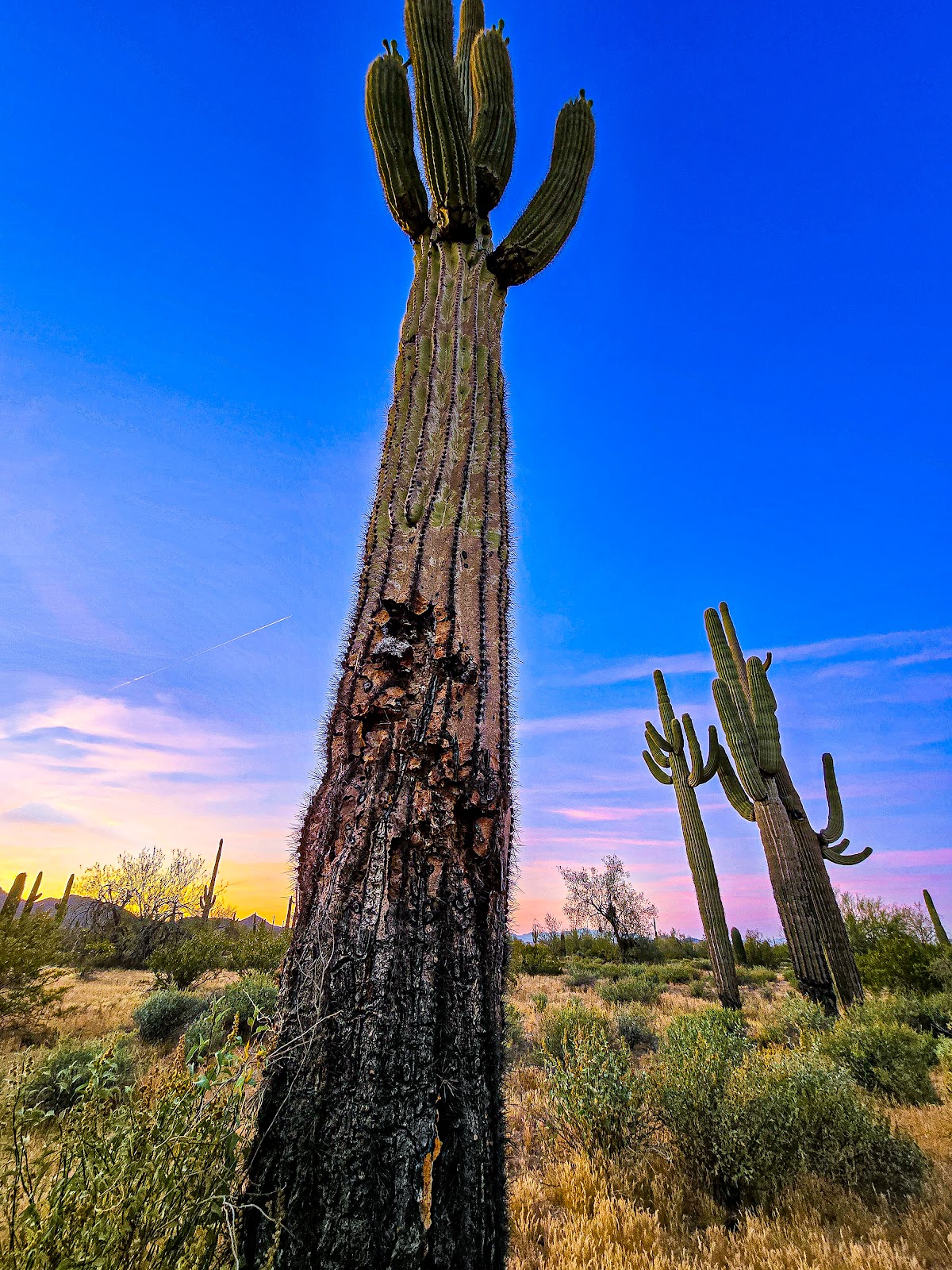 Pinal County West Pinal Park
