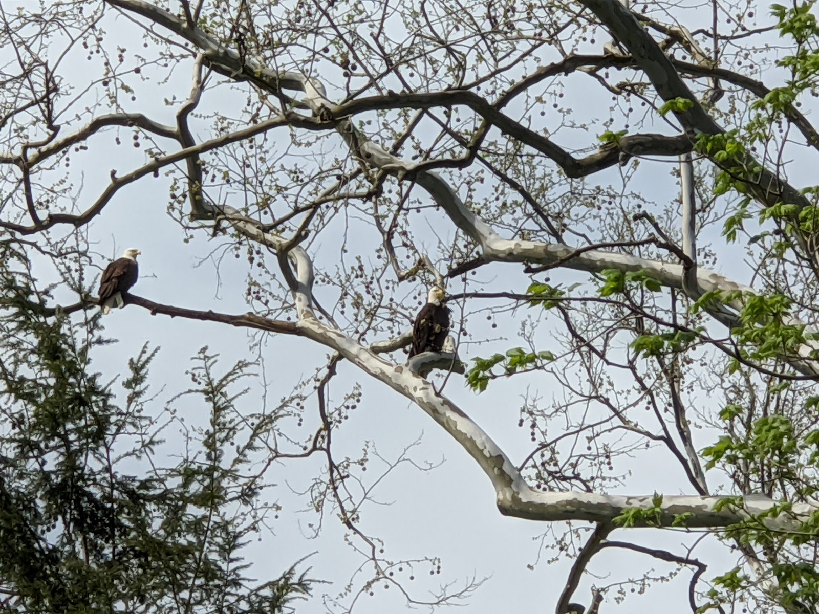 Vagabond Family Campground