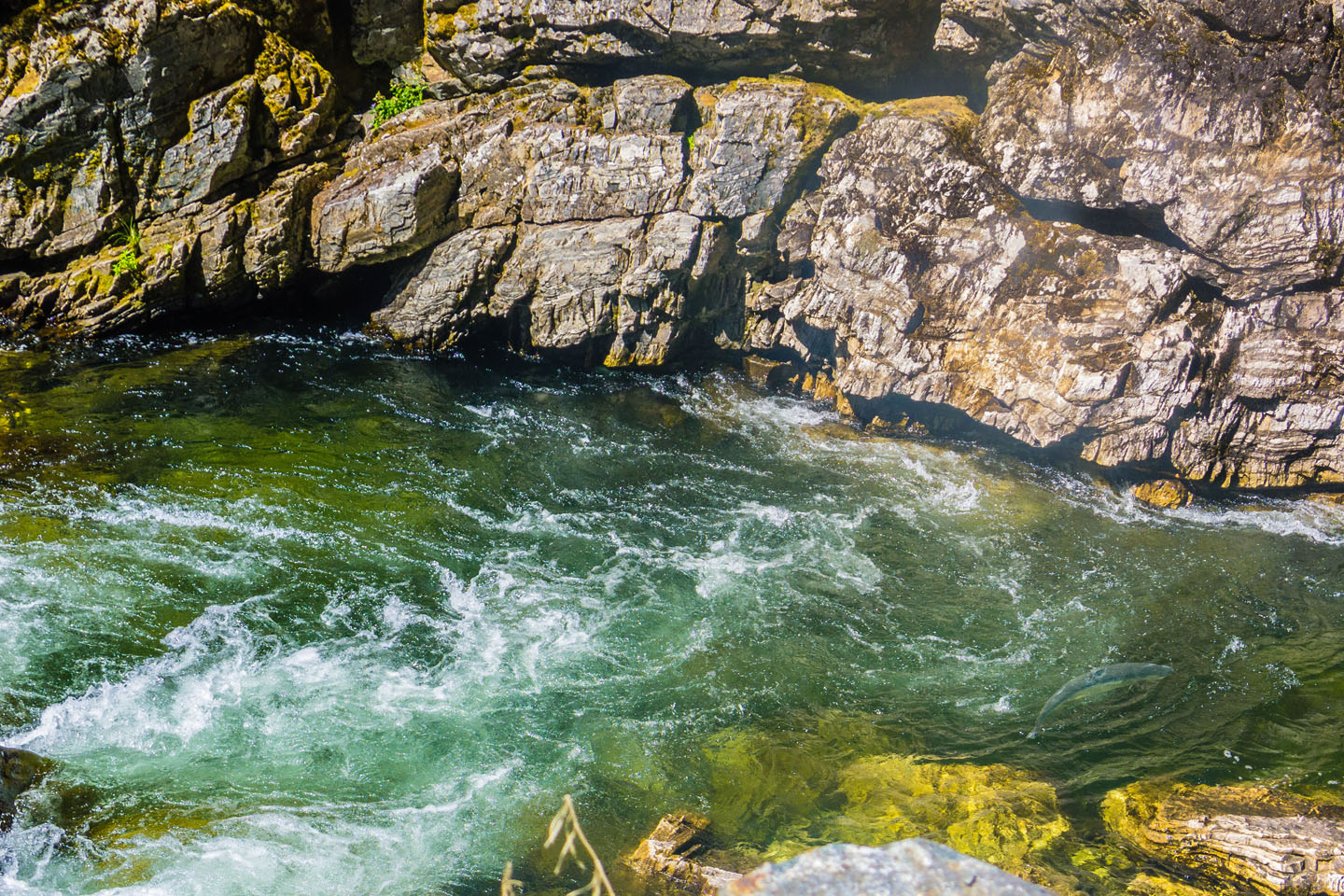 Tin Can Flat Campground