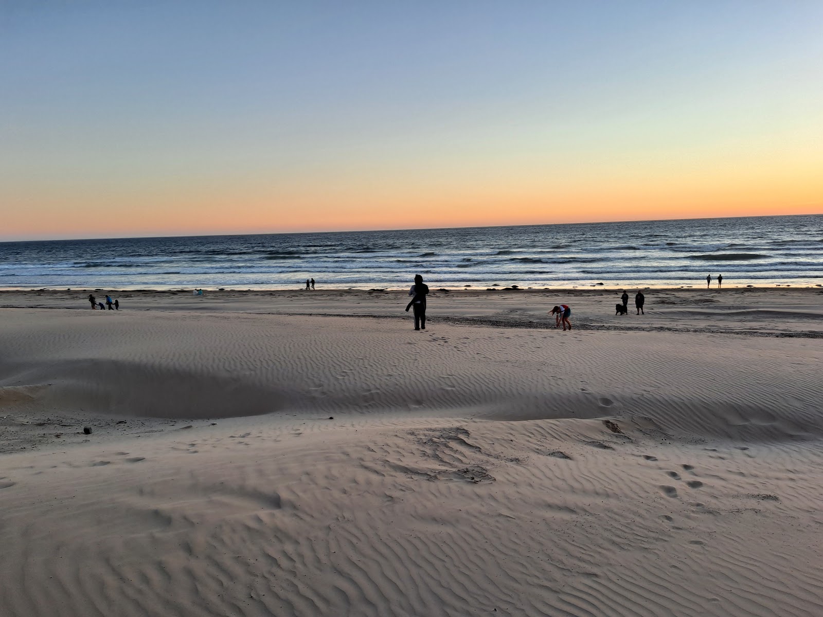 Oceano Campground at Pismo State Beach