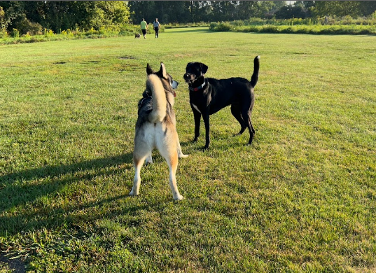 Hammel Woods - DuPage River Access
