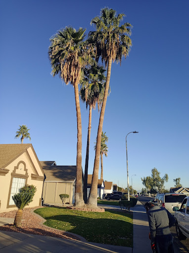 Espee Park and Spray Pad