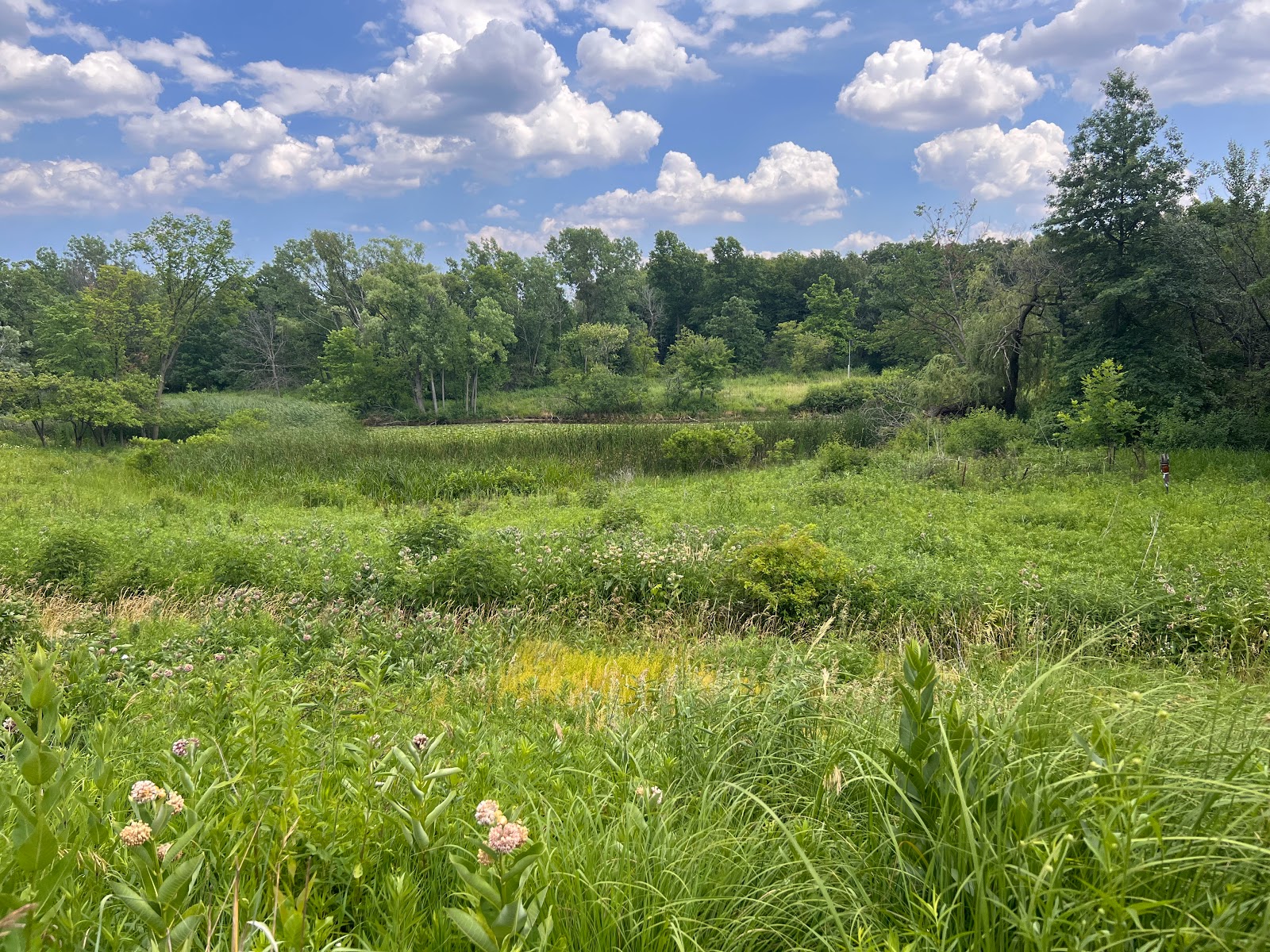 North Park Village Nature Center