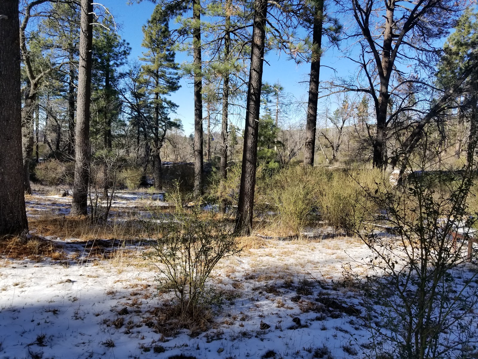 Horse Heaven Group Campground
