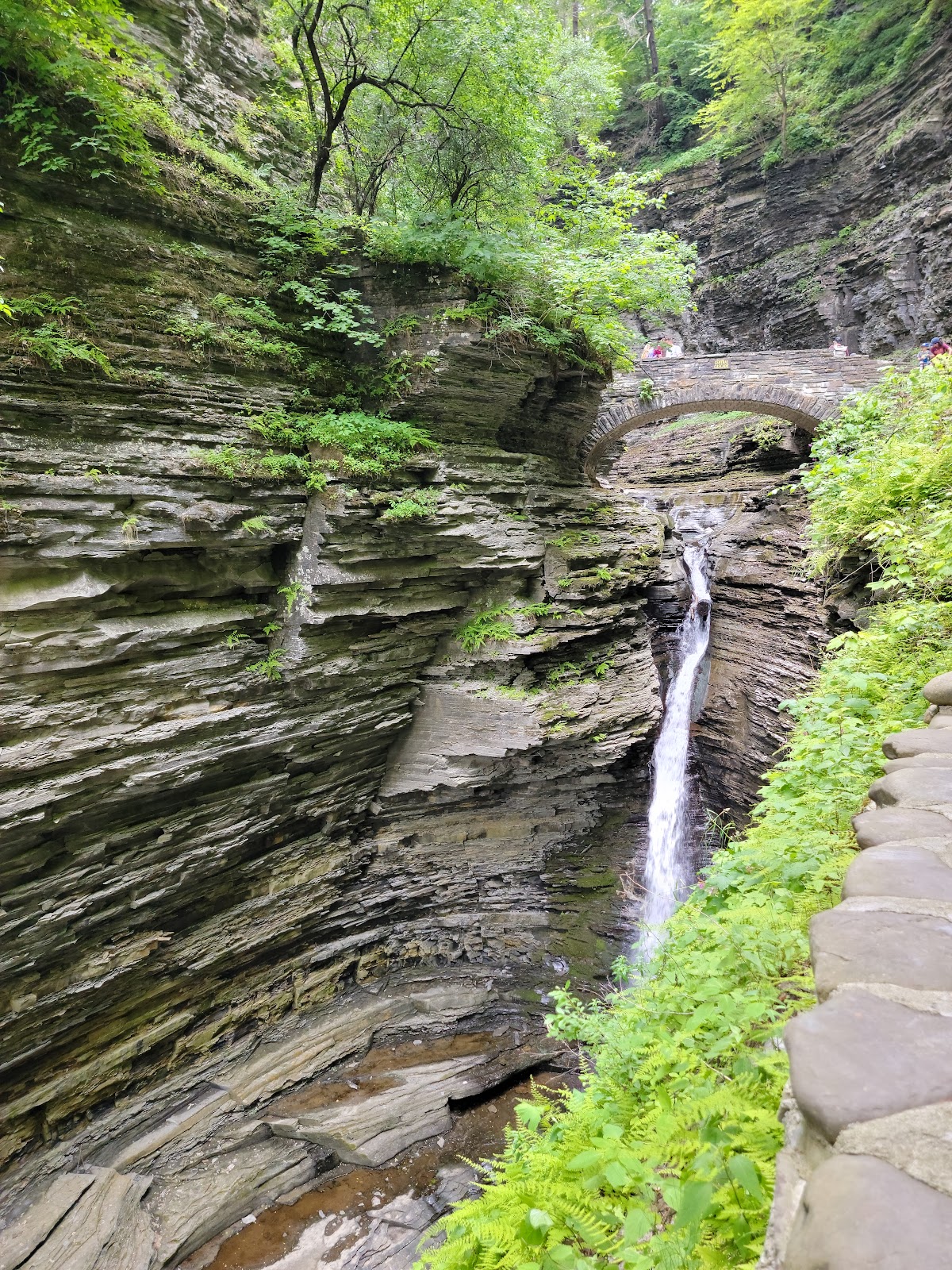 Watkins Glen State Park