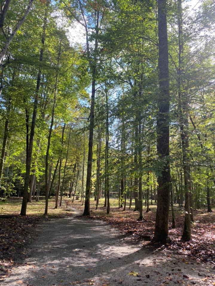 Rodburn Hollow Campgrounds