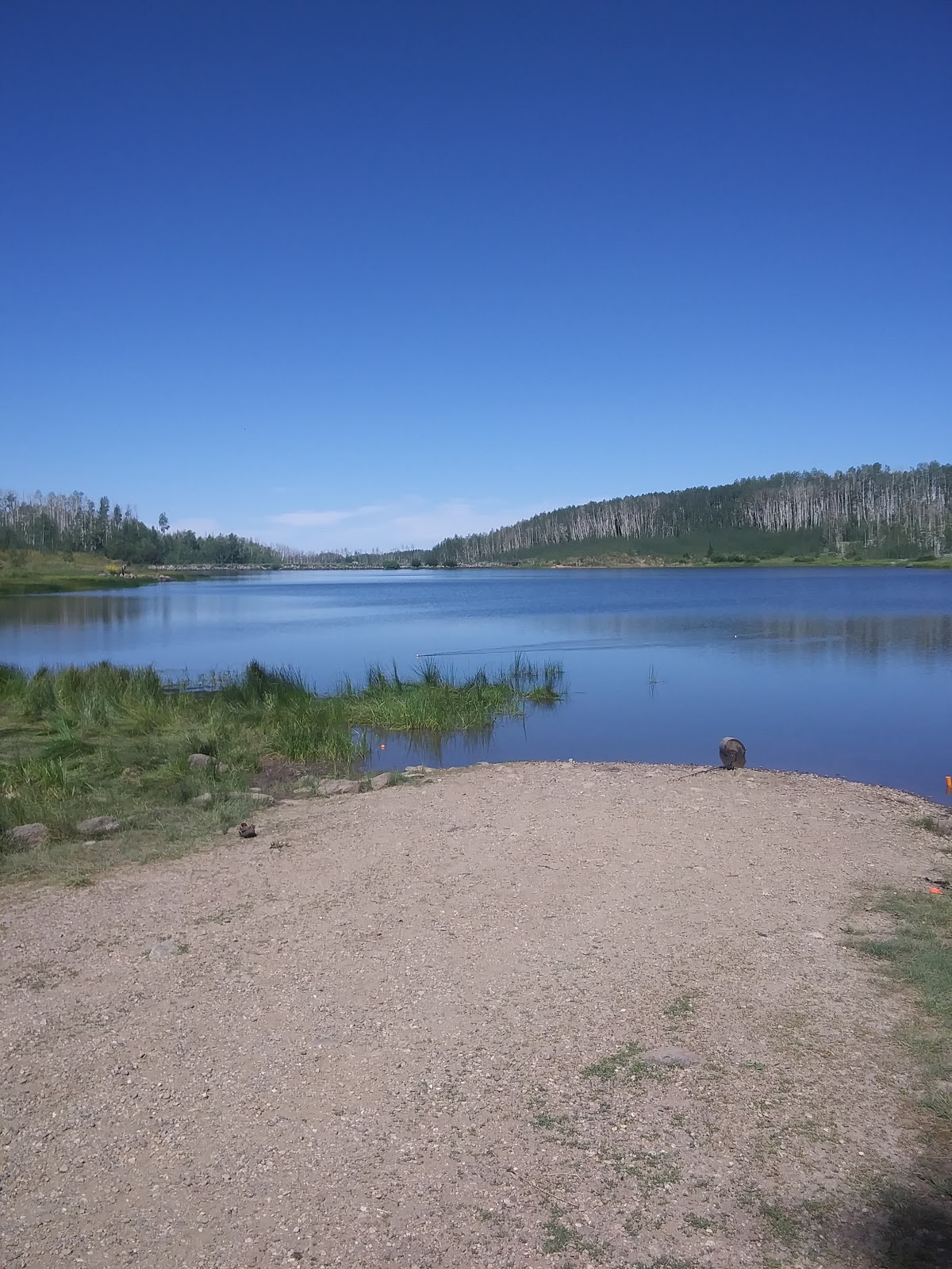 Freeman Reservoir Campground