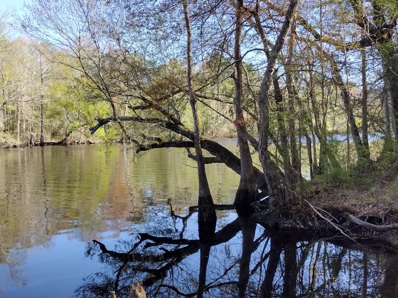 Lumber River State Park