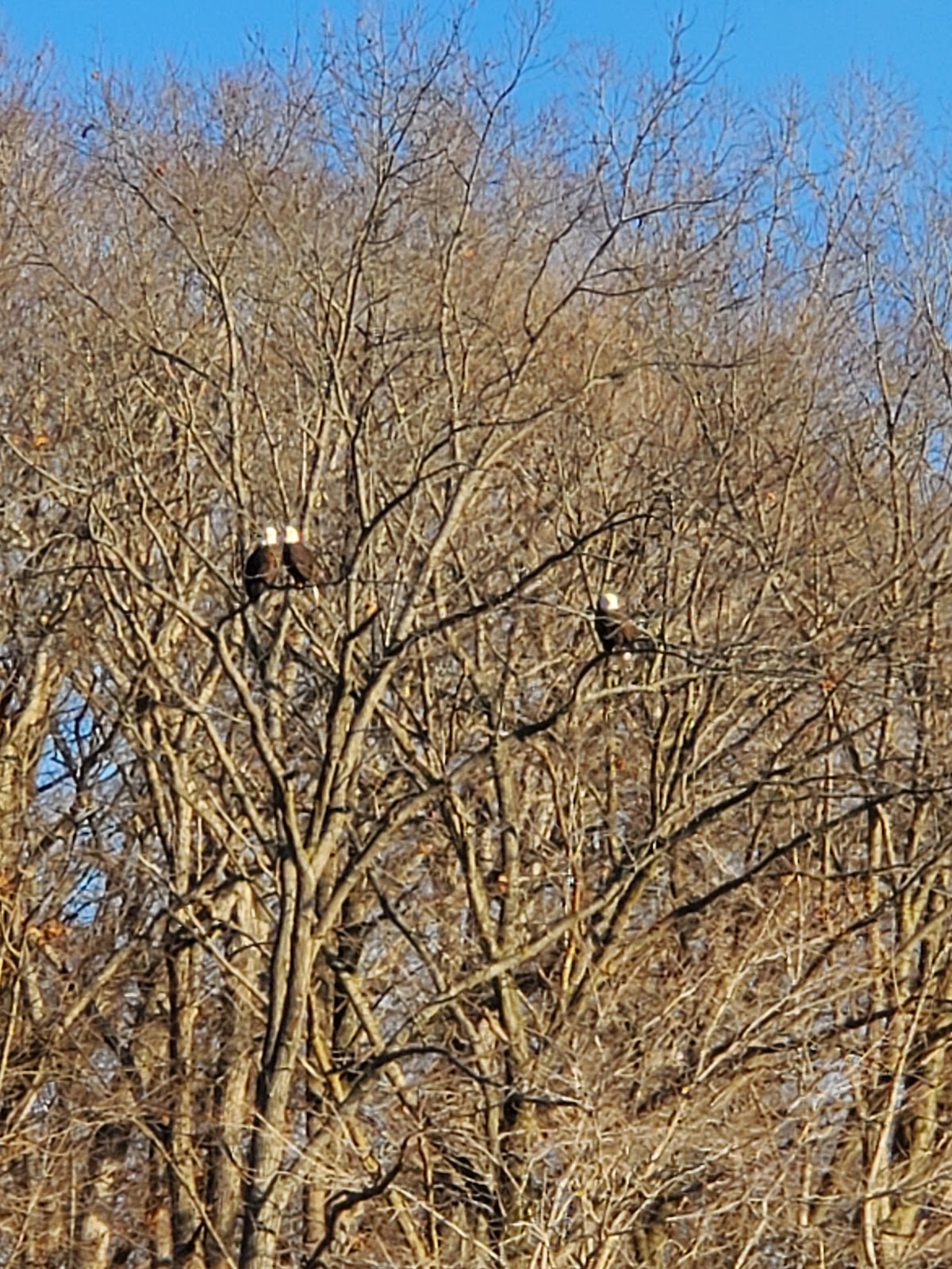 Tailwater West Campground