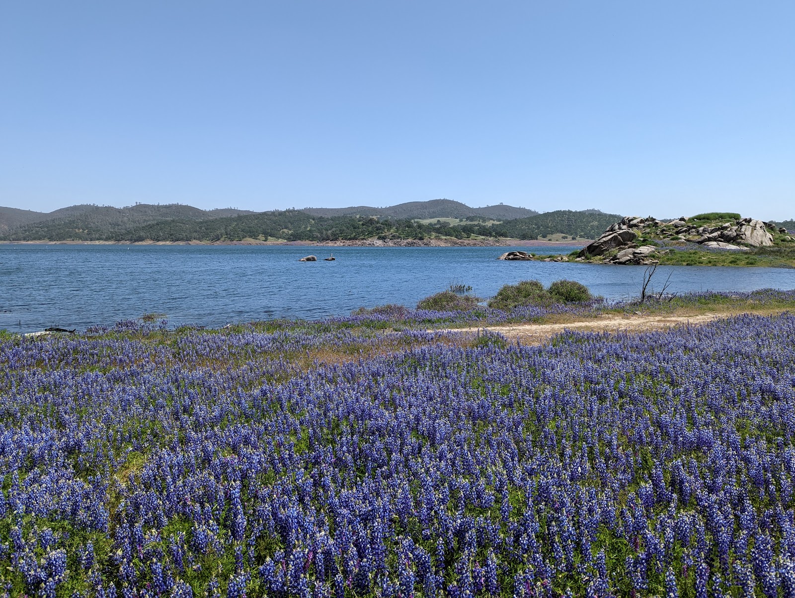 Peninsula Campground