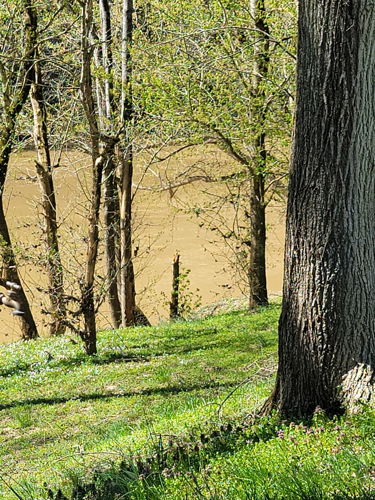 Camp on the Kentucky