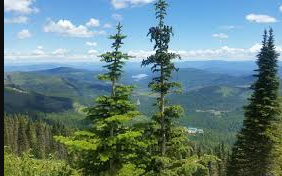 Resort at Mount Spokane