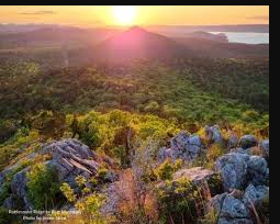 Blue Mountain Wildlife Demonstration Area