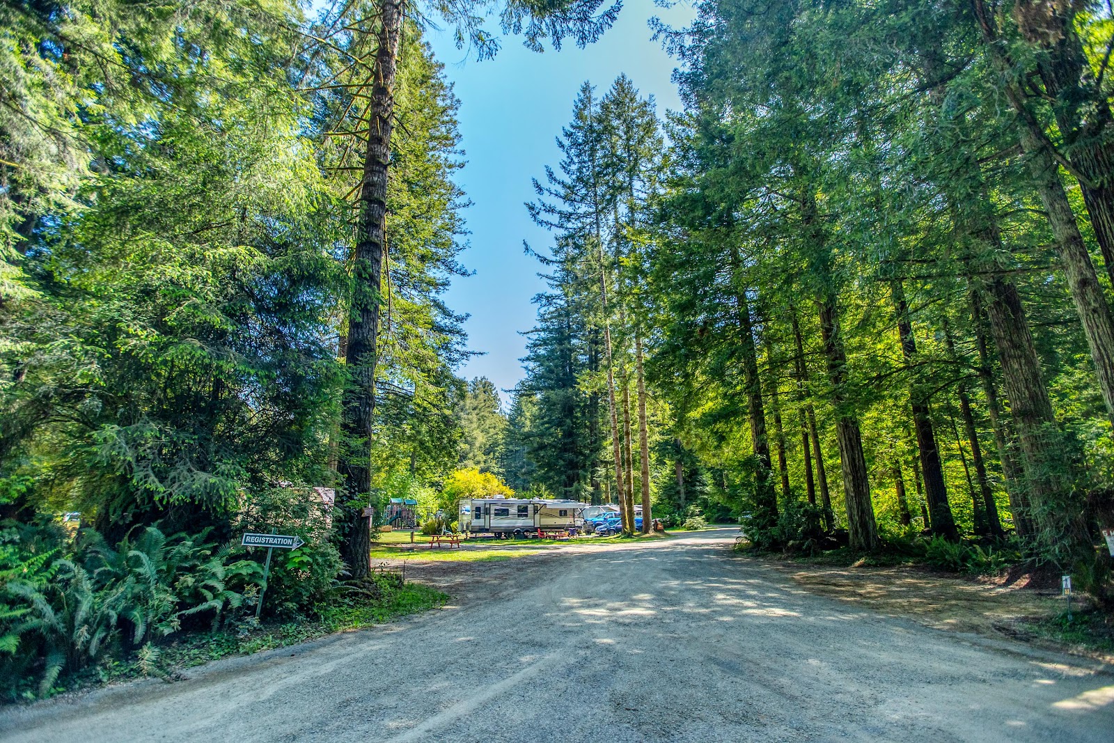 The Redwoods RV Resort