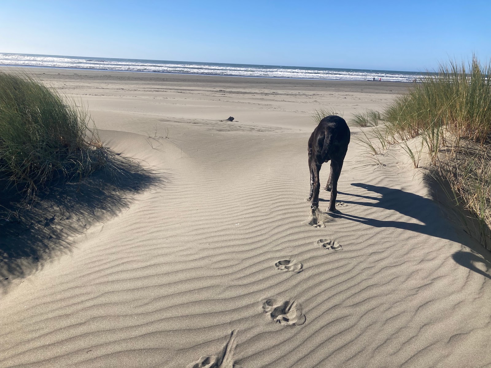 Clam Beach County Park