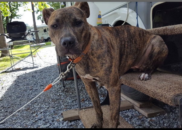 White Oak Campground