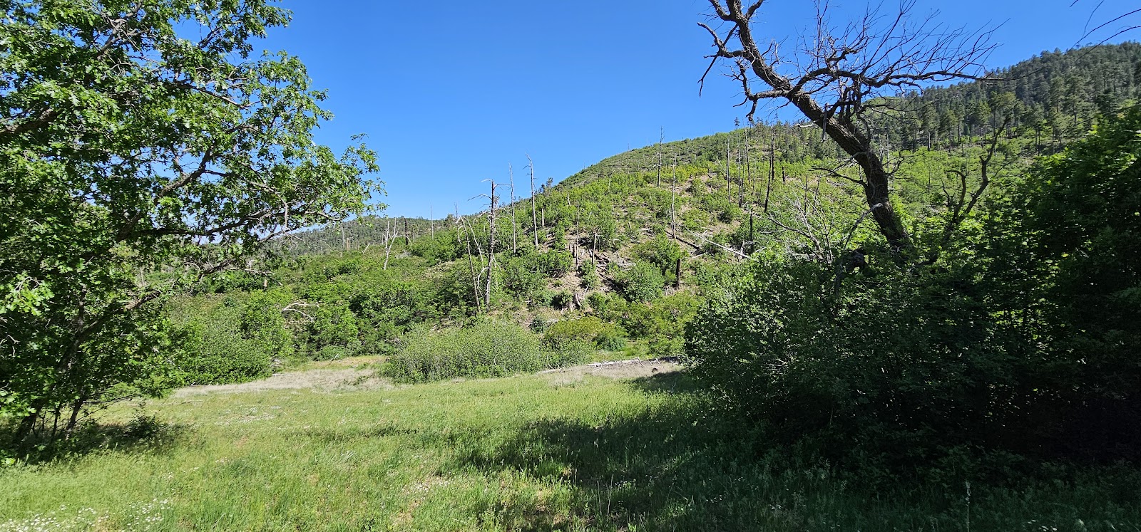 New Canyon Campground