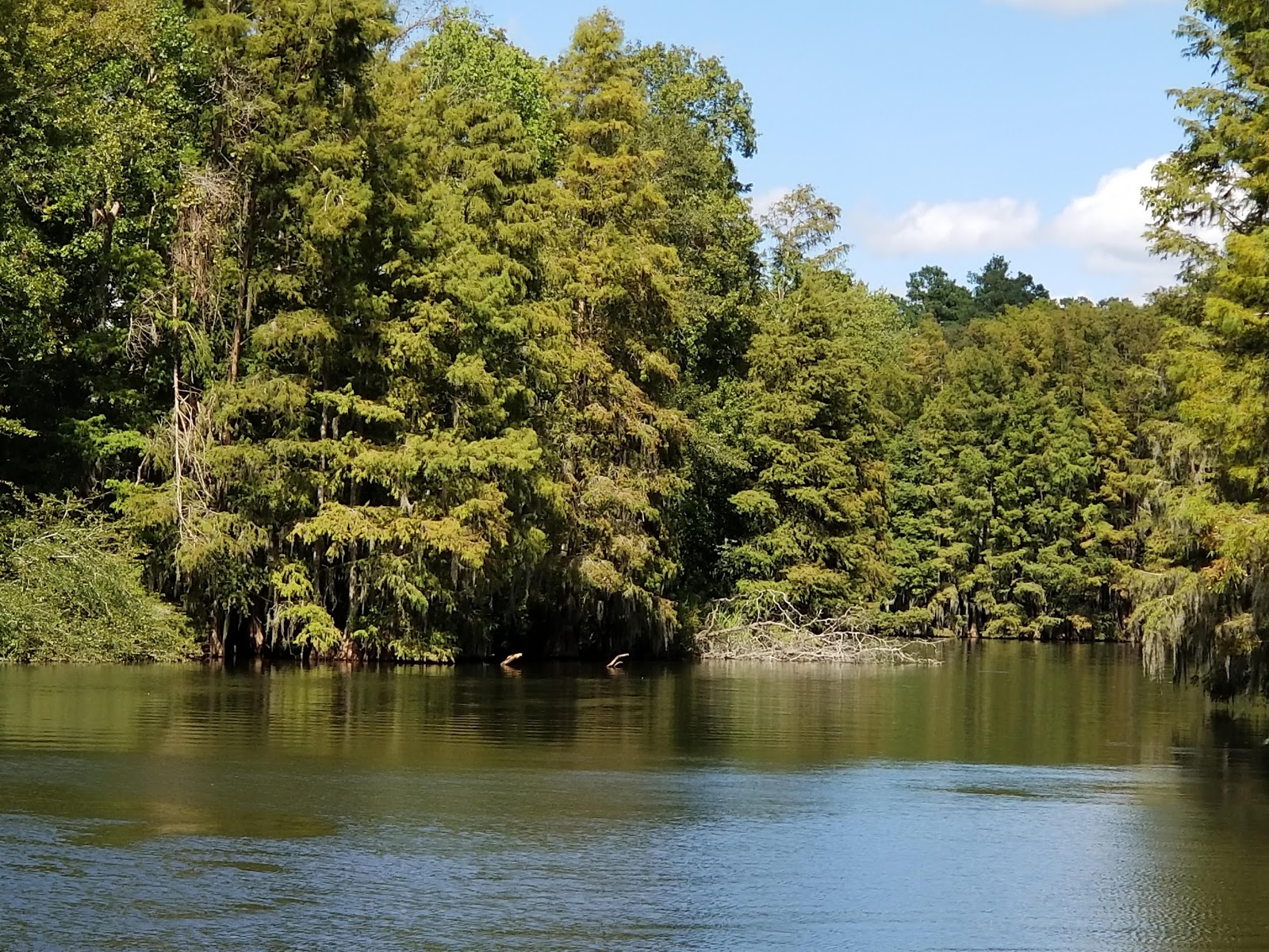 Lake Marion Resort and Marina